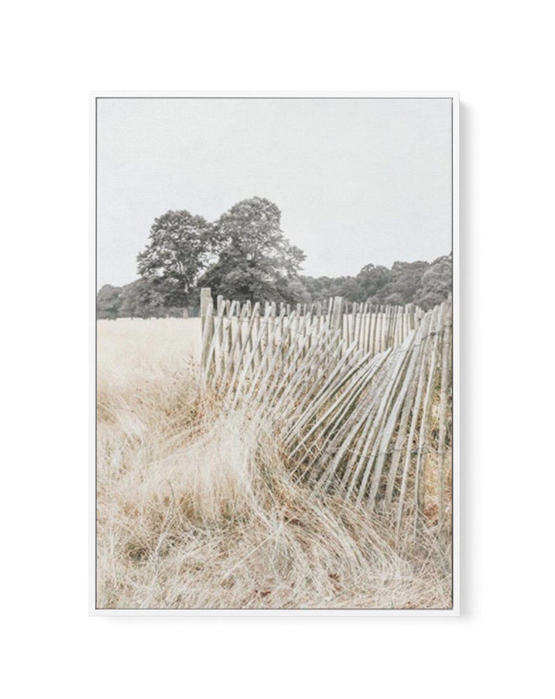 Walk in the Fields | Framed Canvas-CANVAS-You can shop wall art online with Olive et Oriel for everything from abstract art to fun kids wall art. Our beautiful modern art prints and canvas art are available from large canvas prints to wall art paintings and our proudly Australian artwork collection offers only the highest quality framed large wall art and canvas art Australia - You can buy fashion photography prints or Hampton print posters and paintings on canvas from Olive et Oriel and have th