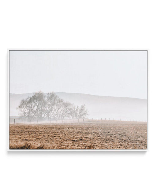 Wandering Fields | Framed Canvas-CANVAS-You can shop wall art online with Olive et Oriel for everything from abstract art to fun kids wall art. Our beautiful modern art prints and canvas art are available from large canvas prints to wall art paintings and our proudly Australian artwork collection offers only the highest quality framed large wall art and canvas art Australia - You can buy fashion photography prints or Hampton print posters and paintings on canvas from Olive et Oriel and have them