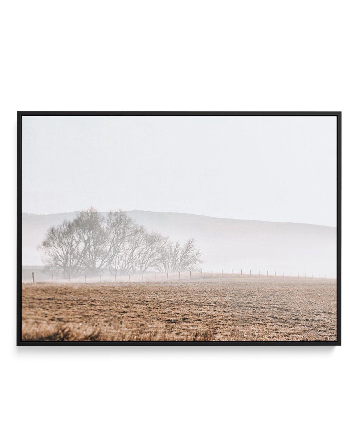 Wandering Fields | Framed Canvas-CANVAS-You can shop wall art online with Olive et Oriel for everything from abstract art to fun kids wall art. Our beautiful modern art prints and canvas art are available from large canvas prints to wall art paintings and our proudly Australian artwork collection offers only the highest quality framed large wall art and canvas art Australia - You can buy fashion photography prints or Hampton print posters and paintings on canvas from Olive et Oriel and have them