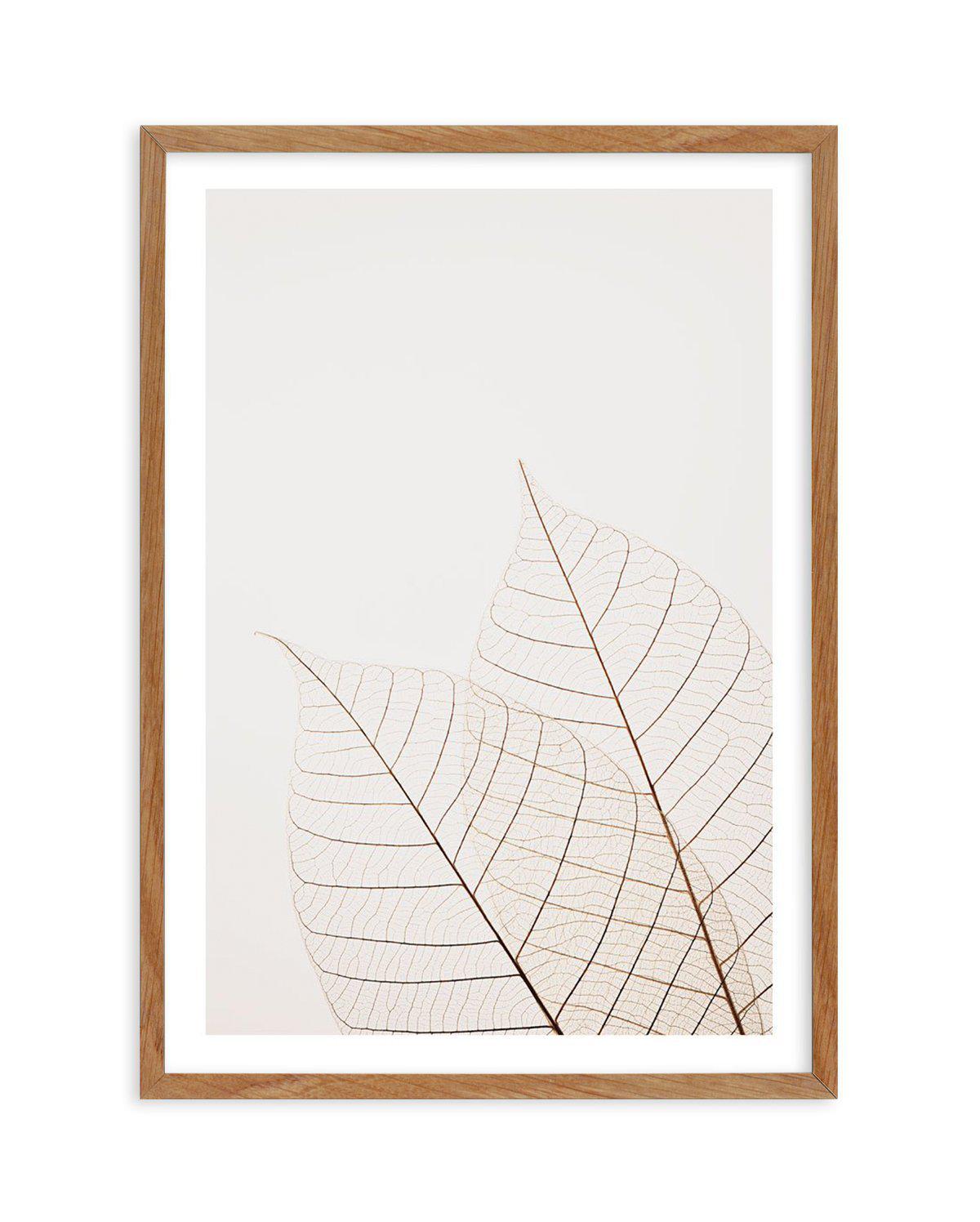 Warm Leaves Art Print-PRINT-Olive et Oriel-Olive et Oriel-50x70 cm | 19.6" x 27.5"-Walnut-With White Border-Buy-Australian-Art-Prints-Online-with-Olive-et-Oriel-Your-Artwork-Specialists-Austrailia-Decorate-With-Coastal-Photo-Wall-Art-Prints-From-Our-Beach-House-Artwork-Collection-Fine-Poster-and-Framed-Artwork