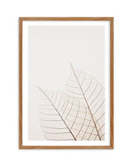 Warm Leaves Art Print-PRINT-Olive et Oriel-Olive et Oriel-50x70 cm | 19.6" x 27.5"-Walnut-With White Border-Buy-Australian-Art-Prints-Online-with-Olive-et-Oriel-Your-Artwork-Specialists-Austrailia-Decorate-With-Coastal-Photo-Wall-Art-Prints-From-Our-Beach-House-Artwork-Collection-Fine-Poster-and-Framed-Artwork