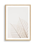 Warm Leaves Art Print-PRINT-Olive et Oriel-Olive et Oriel-A5 | 5.8" x 8.3" | 14.8 x 21cm-Oak-With White Border-Buy-Australian-Art-Prints-Online-with-Olive-et-Oriel-Your-Artwork-Specialists-Austrailia-Decorate-With-Coastal-Photo-Wall-Art-Prints-From-Our-Beach-House-Artwork-Collection-Fine-Poster-and-Framed-Artwork