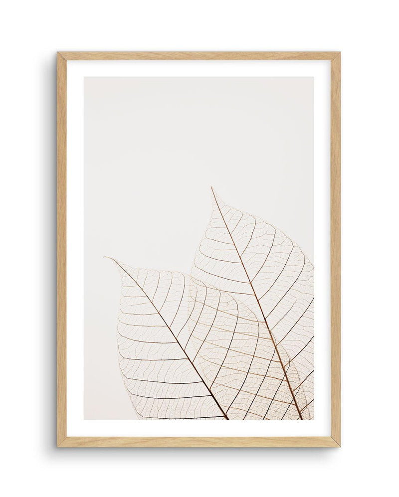 Warm Leaves Art Print-PRINT-Olive et Oriel-Olive et Oriel-A5 | 5.8" x 8.3" | 14.8 x 21cm-Oak-With White Border-Buy-Australian-Art-Prints-Online-with-Olive-et-Oriel-Your-Artwork-Specialists-Austrailia-Decorate-With-Coastal-Photo-Wall-Art-Prints-From-Our-Beach-House-Artwork-Collection-Fine-Poster-and-Framed-Artwork
