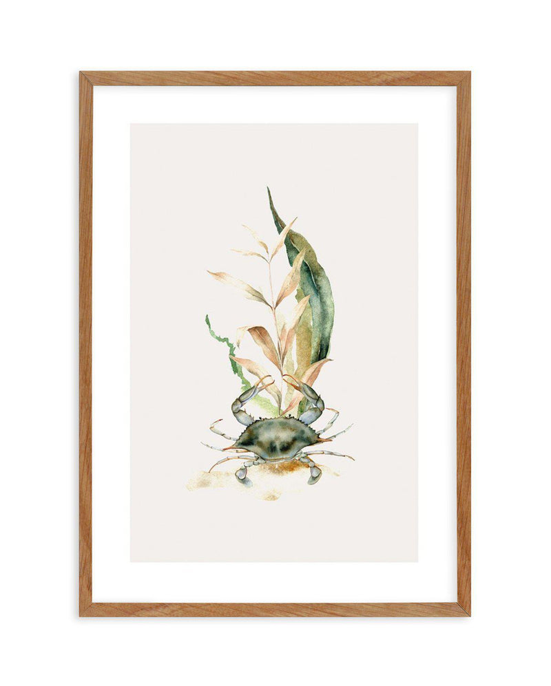 Watercolour Crab Art Print-PRINT-Olive et Oriel-Olive et Oriel-50x70 cm | 19.6" x 27.5"-Walnut-With White Border-Buy-Australian-Art-Prints-Online-with-Olive-et-Oriel-Your-Artwork-Specialists-Austrailia-Decorate-With-Coastal-Photo-Wall-Art-Prints-From-Our-Beach-House-Artwork-Collection-Fine-Poster-and-Framed-Artwork