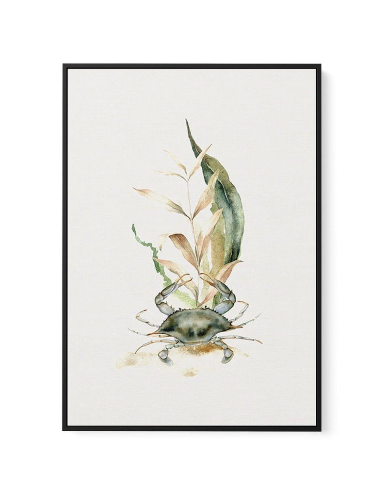 Watercolour Crab | Framed Canvas-CANVAS-You can shop wall art online with Olive et Oriel for everything from abstract art to fun kids wall art. Our beautiful modern art prints and canvas art are available from large canvas prints to wall art paintings and our proudly Australian artwork collection offers only the highest quality framed large wall art and canvas art Australia - You can buy fashion photography prints or Hampton print posters and paintings on canvas from Olive et Oriel and have them