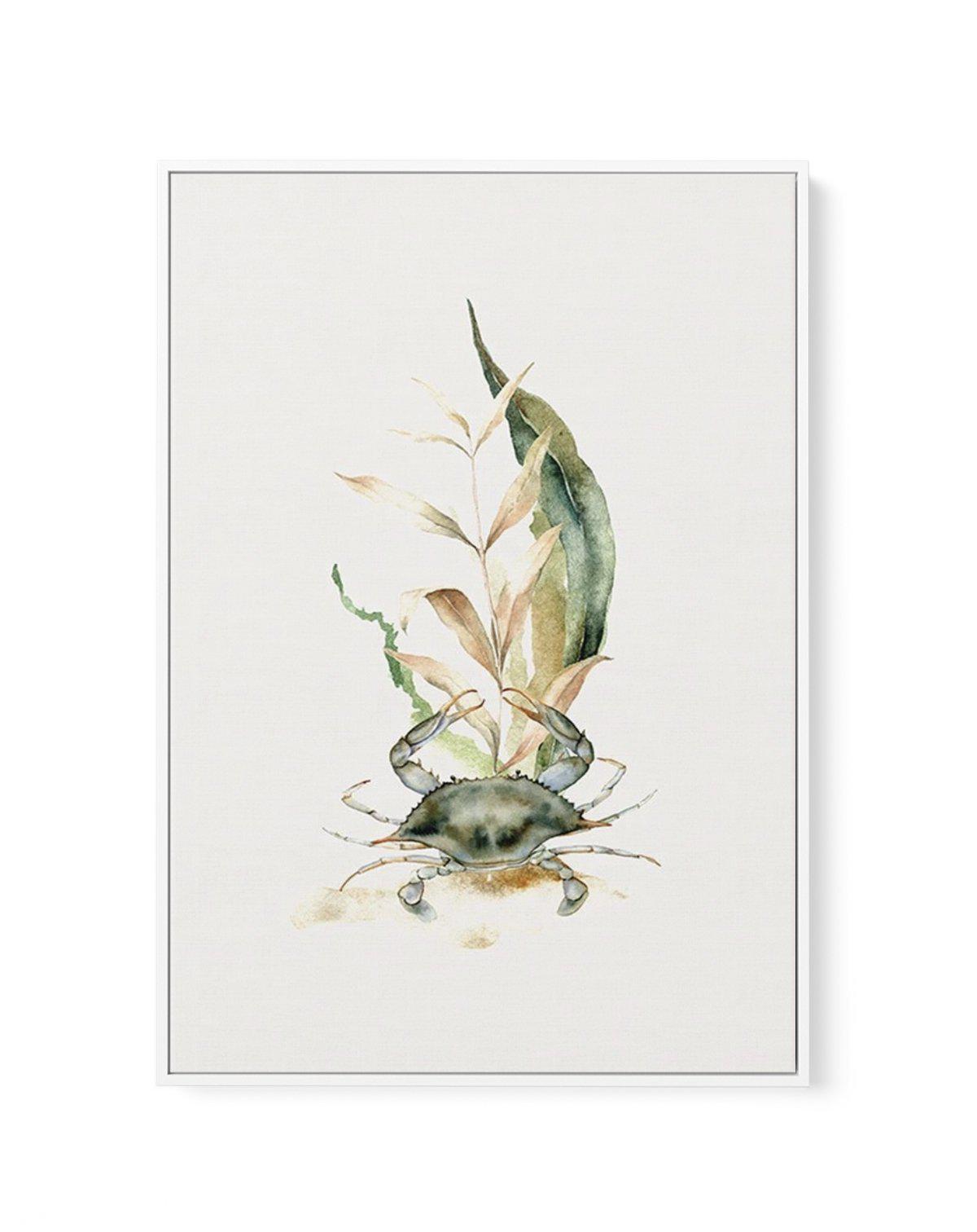 Watercolour Crab | Framed Canvas-CANVAS-You can shop wall art online with Olive et Oriel for everything from abstract art to fun kids wall art. Our beautiful modern art prints and canvas art are available from large canvas prints to wall art paintings and our proudly Australian artwork collection offers only the highest quality framed large wall art and canvas art Australia - You can buy fashion photography prints or Hampton print posters and paintings on canvas from Olive et Oriel and have them