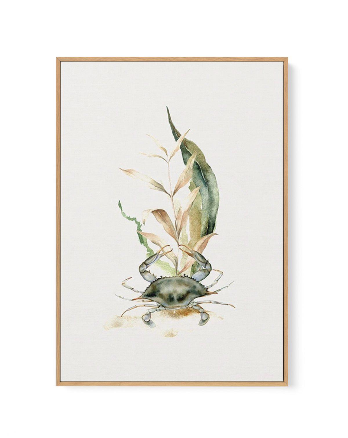 Watercolour Crab | Framed Canvas-CANVAS-You can shop wall art online with Olive et Oriel for everything from abstract art to fun kids wall art. Our beautiful modern art prints and canvas art are available from large canvas prints to wall art paintings and our proudly Australian artwork collection offers only the highest quality framed large wall art and canvas art Australia - You can buy fashion photography prints or Hampton print posters and paintings on canvas from Olive et Oriel and have them