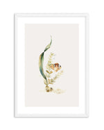 Watercolour Fish Art Print-PRINT-Olive et Oriel-Olive et Oriel-A5 | 5.8" x 8.3" | 14.8 x 21cm-White-With White Border-Buy-Australian-Art-Prints-Online-with-Olive-et-Oriel-Your-Artwork-Specialists-Austrailia-Decorate-With-Coastal-Photo-Wall-Art-Prints-From-Our-Beach-House-Artwork-Collection-Fine-Poster-and-Framed-Artwork