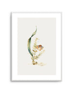 Watercolour Fish Art Print-PRINT-Olive et Oriel-Olive et Oriel-A5 | 5.8" x 8.3" | 14.8 x 21cm-Unframed Art Print-With White Border-Buy-Australian-Art-Prints-Online-with-Olive-et-Oriel-Your-Artwork-Specialists-Austrailia-Decorate-With-Coastal-Photo-Wall-Art-Prints-From-Our-Beach-House-Artwork-Collection-Fine-Poster-and-Framed-Artwork