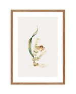 Watercolour Fish Art Print-PRINT-Olive et Oriel-Olive et Oriel-50x70 cm | 19.6" x 27.5"-Walnut-With White Border-Buy-Australian-Art-Prints-Online-with-Olive-et-Oriel-Your-Artwork-Specialists-Austrailia-Decorate-With-Coastal-Photo-Wall-Art-Prints-From-Our-Beach-House-Artwork-Collection-Fine-Poster-and-Framed-Artwork