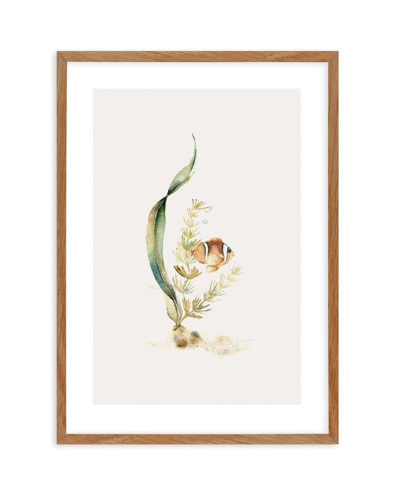 Watercolour Fish Art Print-PRINT-Olive et Oriel-Olive et Oriel-50x70 cm | 19.6" x 27.5"-Walnut-With White Border-Buy-Australian-Art-Prints-Online-with-Olive-et-Oriel-Your-Artwork-Specialists-Austrailia-Decorate-With-Coastal-Photo-Wall-Art-Prints-From-Our-Beach-House-Artwork-Collection-Fine-Poster-and-Framed-Artwork
