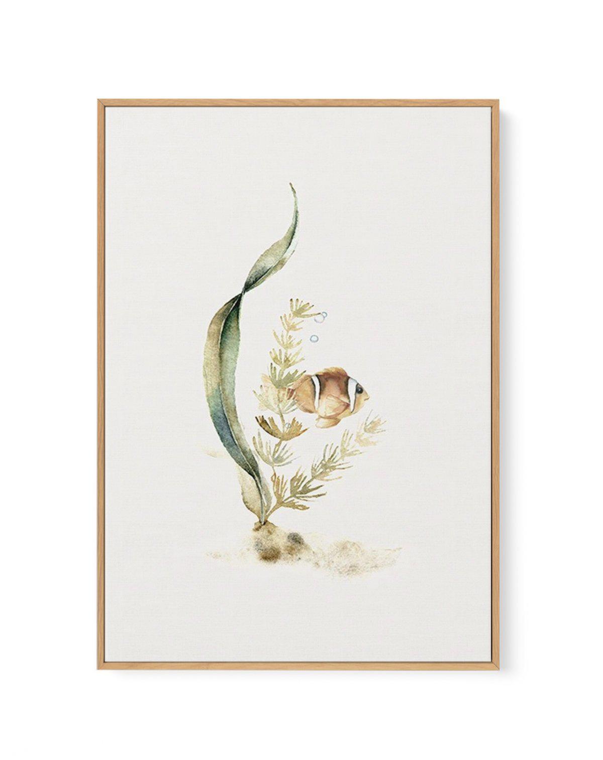 Watercolour Fish | Framed Canvas-CANVAS-You can shop wall art online with Olive et Oriel for everything from abstract art to fun kids wall art. Our beautiful modern art prints and canvas art are available from large canvas prints to wall art paintings and our proudly Australian artwork collection offers only the highest quality framed large wall art and canvas art Australia - You can buy fashion photography prints or Hampton print posters and paintings on canvas from Olive et Oriel and have them