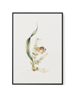 Watercolour Fish | Framed Canvas-CANVAS-You can shop wall art online with Olive et Oriel for everything from abstract art to fun kids wall art. Our beautiful modern art prints and canvas art are available from large canvas prints to wall art paintings and our proudly Australian artwork collection offers only the highest quality framed large wall art and canvas art Australia - You can buy fashion photography prints or Hampton print posters and paintings on canvas from Olive et Oriel and have them
