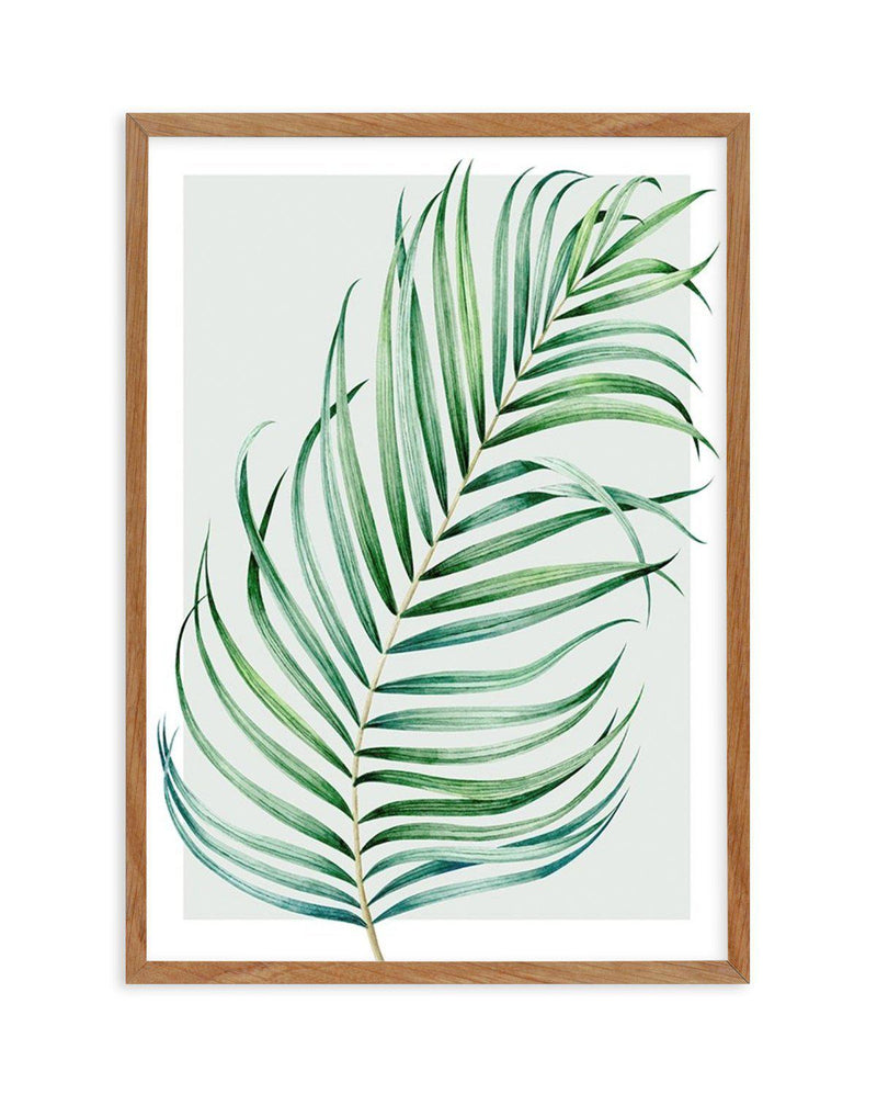 Watercolour Palm On Grey I Art Print-PRINT-Olive et Oriel-Olive et Oriel-50x70 cm | 19.6" x 27.5"-Walnut-With White Border-Buy-Australian-Art-Prints-Online-with-Olive-et-Oriel-Your-Artwork-Specialists-Austrailia-Decorate-With-Coastal-Photo-Wall-Art-Prints-From-Our-Beach-House-Artwork-Collection-Fine-Poster-and-Framed-Artwork