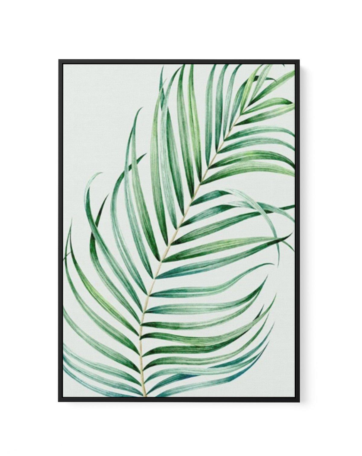 Watercolour Palm On Grey I | Framed Canvas-CANVAS-You can shop wall art online with Olive et Oriel for everything from abstract art to fun kids wall art. Our beautiful modern art prints and canvas art are available from large canvas prints to wall art paintings and our proudly Australian artwork collection offers only the highest quality framed large wall art and canvas art Australia - You can buy fashion photography prints or Hampton print posters and paintings on canvas from Olive et Oriel and