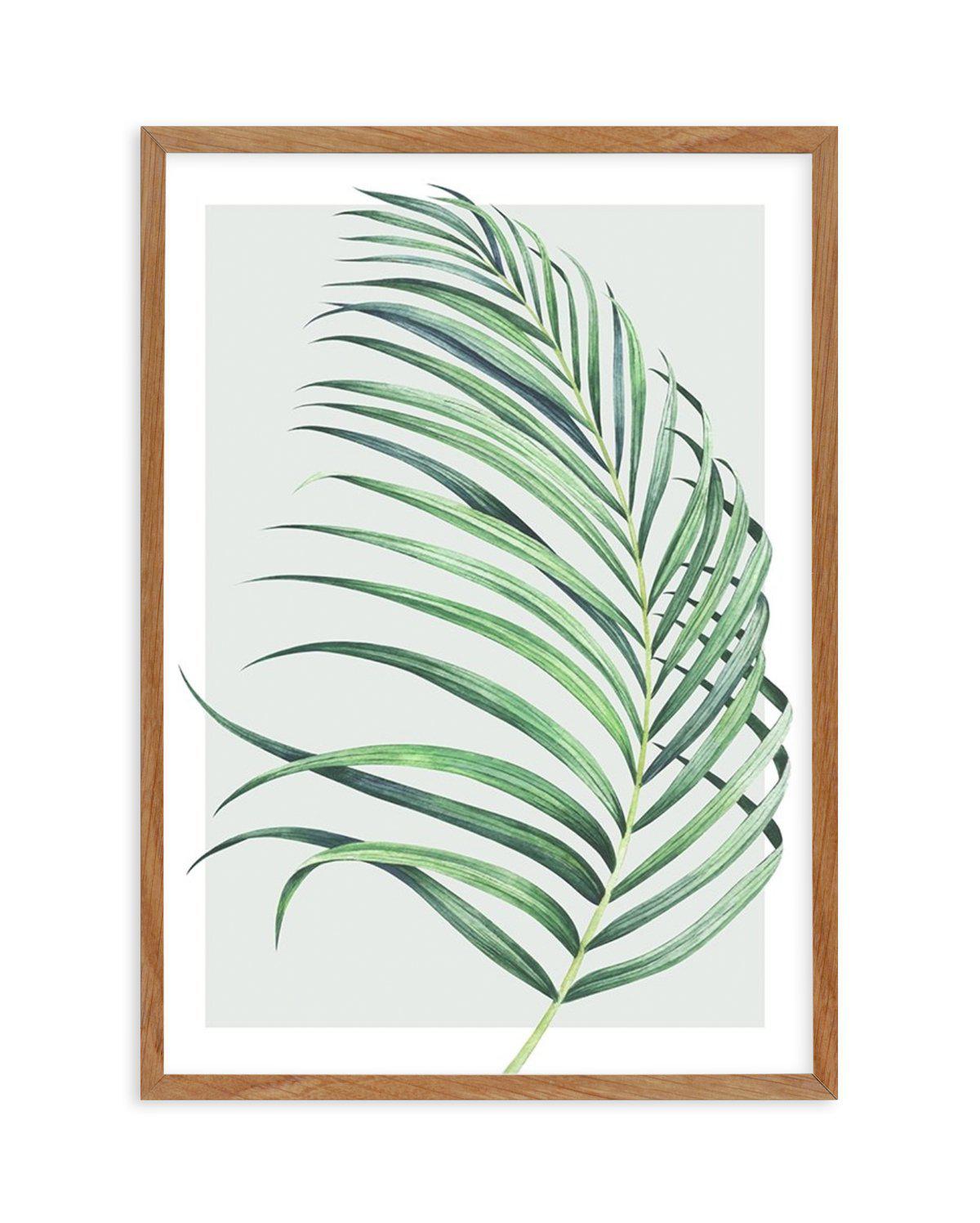 Watercolour Palm On Grey II Art Print-PRINT-Olive et Oriel-Olive et Oriel-50x70 cm | 19.6" x 27.5"-Walnut-With White Border-Buy-Australian-Art-Prints-Online-with-Olive-et-Oriel-Your-Artwork-Specialists-Austrailia-Decorate-With-Coastal-Photo-Wall-Art-Prints-From-Our-Beach-House-Artwork-Collection-Fine-Poster-and-Framed-Artwork