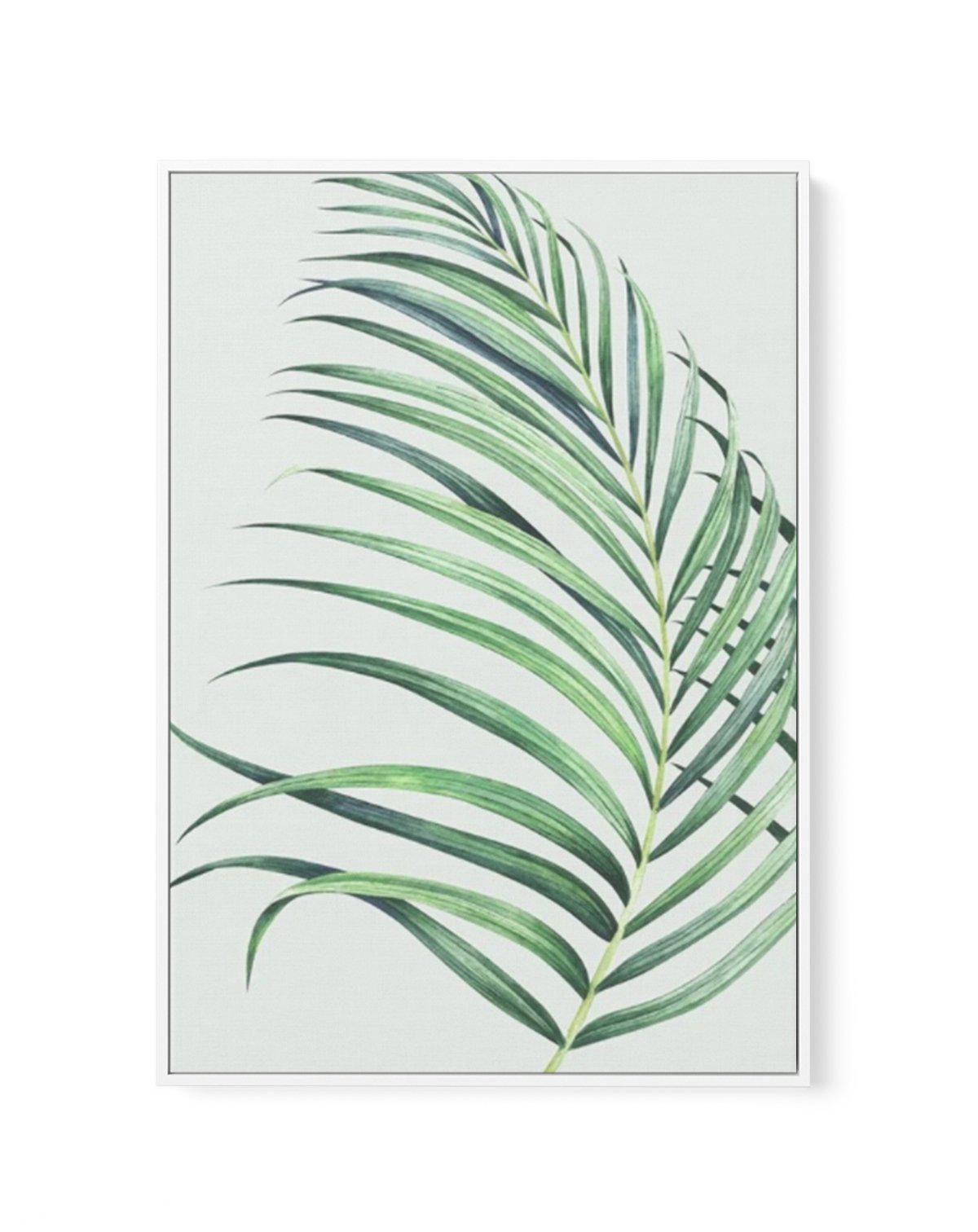 Watercolour Palm On Grey II | Framed Canvas-CANVAS-You can shop wall art online with Olive et Oriel for everything from abstract art to fun kids wall art. Our beautiful modern art prints and canvas art are available from large canvas prints to wall art paintings and our proudly Australian artwork collection offers only the highest quality framed large wall art and canvas art Australia - You can buy fashion photography prints or Hampton print posters and paintings on canvas from Olive et Oriel an