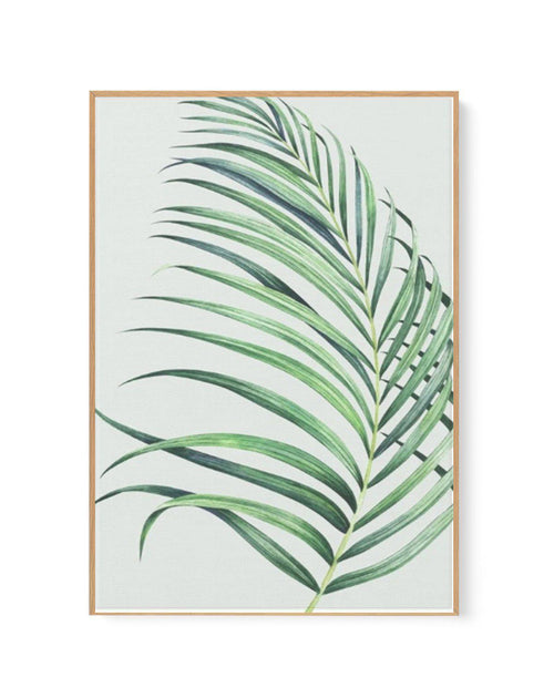 Watercolour Palm On Grey II | Framed Canvas-CANVAS-You can shop wall art online with Olive et Oriel for everything from abstract art to fun kids wall art. Our beautiful modern art prints and canvas art are available from large canvas prints to wall art paintings and our proudly Australian artwork collection offers only the highest quality framed large wall art and canvas art Australia - You can buy fashion photography prints or Hampton print posters and paintings on canvas from Olive et Oriel an