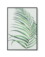 Watercolour Palm On Grey II | Framed Canvas-CANVAS-You can shop wall art online with Olive et Oriel for everything from abstract art to fun kids wall art. Our beautiful modern art prints and canvas art are available from large canvas prints to wall art paintings and our proudly Australian artwork collection offers only the highest quality framed large wall art and canvas art Australia - You can buy fashion photography prints or Hampton print posters and paintings on canvas from Olive et Oriel an