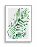 Watercolour Palm On Grey I Art Print-PRINT-Olive et Oriel-Olive et Oriel-A5 | 5.8" x 8.3" | 14.8 x 21cm-Oak-With White Border-Buy-Australian-Art-Prints-Online-with-Olive-et-Oriel-Your-Artwork-Specialists-Austrailia-Decorate-With-Coastal-Photo-Wall-Art-Prints-From-Our-Beach-House-Artwork-Collection-Fine-Poster-and-Framed-Artwork
