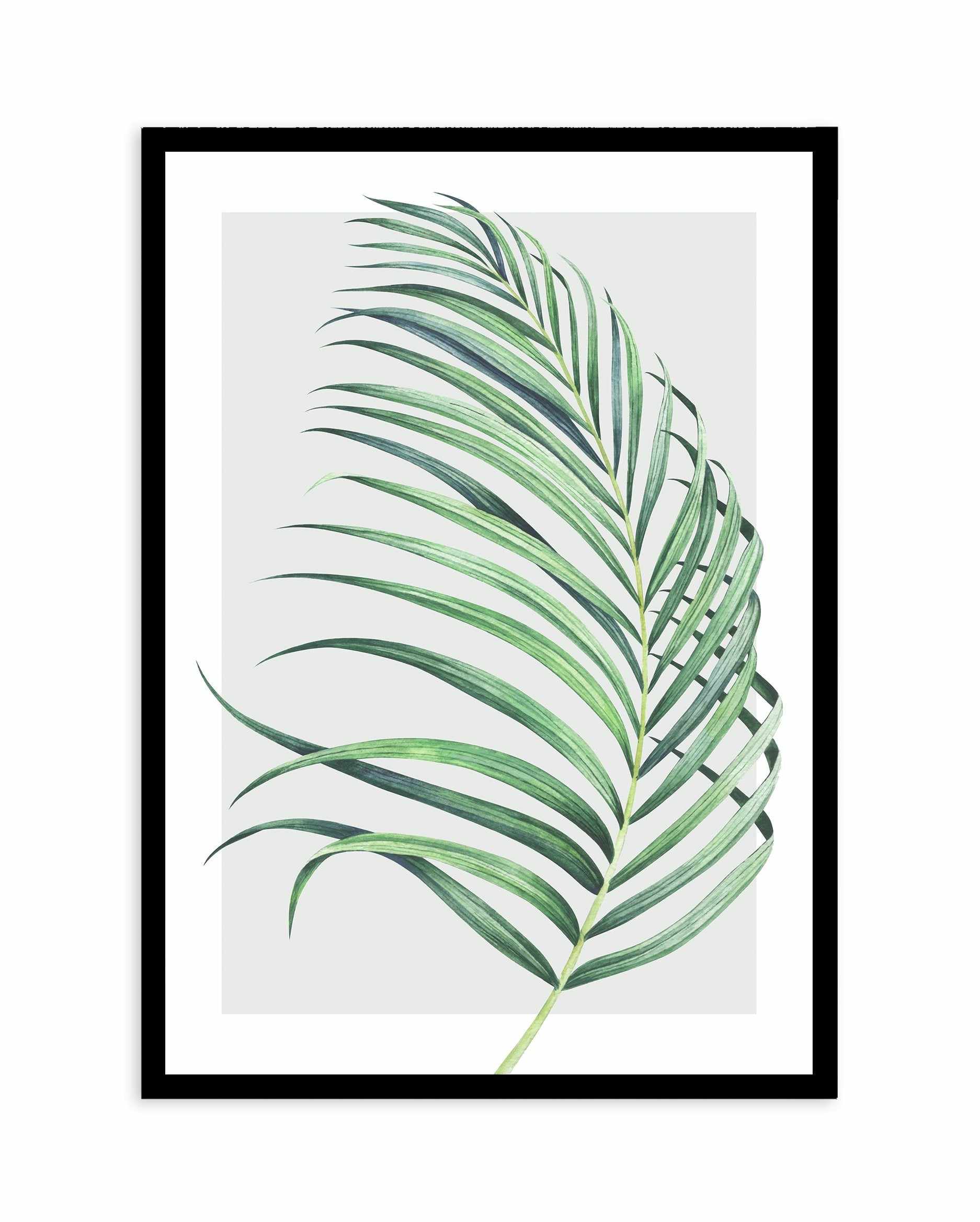 Watercolour Palm On Grey II Art Print-PRINT-Olive et Oriel-Olive et Oriel-A5 | 5.8" x 8.3" | 14.8 x 21cm-Black-With White Border-Buy-Australian-Art-Prints-Online-with-Olive-et-Oriel-Your-Artwork-Specialists-Austrailia-Decorate-With-Coastal-Photo-Wall-Art-Prints-From-Our-Beach-House-Artwork-Collection-Fine-Poster-and-Framed-Artwork