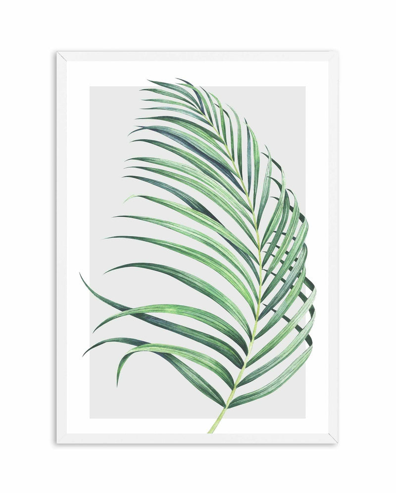 Watercolour Palm On Grey II Art Print-PRINT-Olive et Oriel-Olive et Oriel-A5 | 5.8" x 8.3" | 14.8 x 21cm-White-With White Border-Buy-Australian-Art-Prints-Online-with-Olive-et-Oriel-Your-Artwork-Specialists-Austrailia-Decorate-With-Coastal-Photo-Wall-Art-Prints-From-Our-Beach-House-Artwork-Collection-Fine-Poster-and-Framed-Artwork