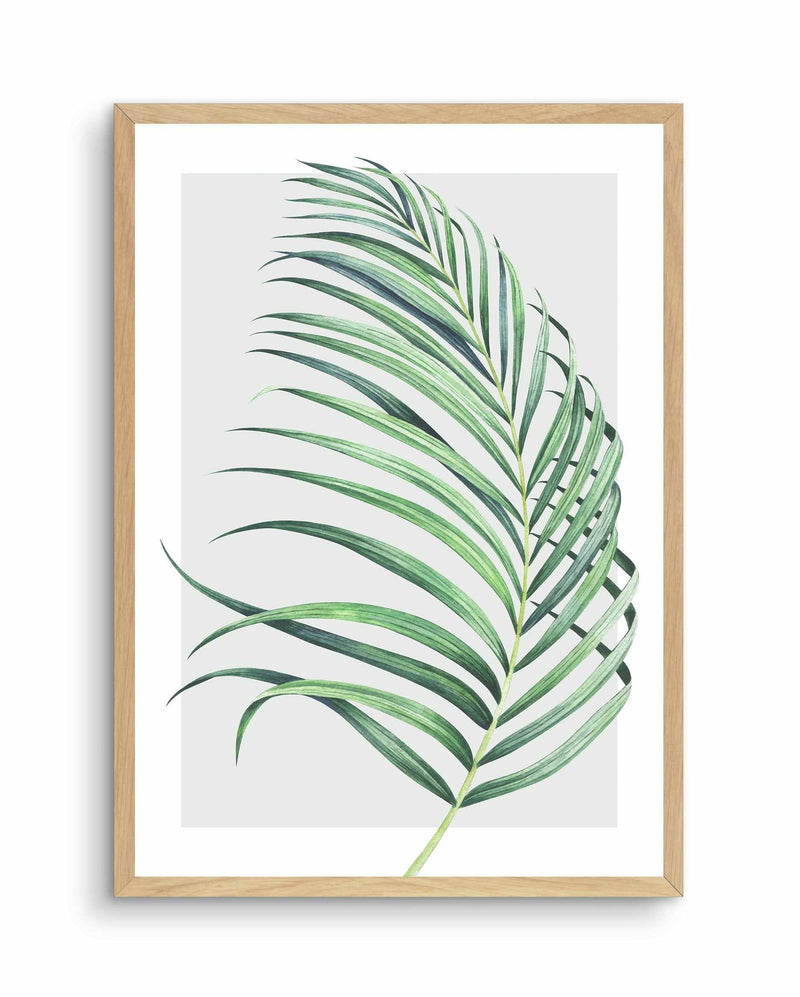 Watercolour Palm On Grey II Art Print-PRINT-Olive et Oriel-Olive et Oriel-A5 | 5.8" x 8.3" | 14.8 x 21cm-Oak-With White Border-Buy-Australian-Art-Prints-Online-with-Olive-et-Oriel-Your-Artwork-Specialists-Austrailia-Decorate-With-Coastal-Photo-Wall-Art-Prints-From-Our-Beach-House-Artwork-Collection-Fine-Poster-and-Framed-Artwork