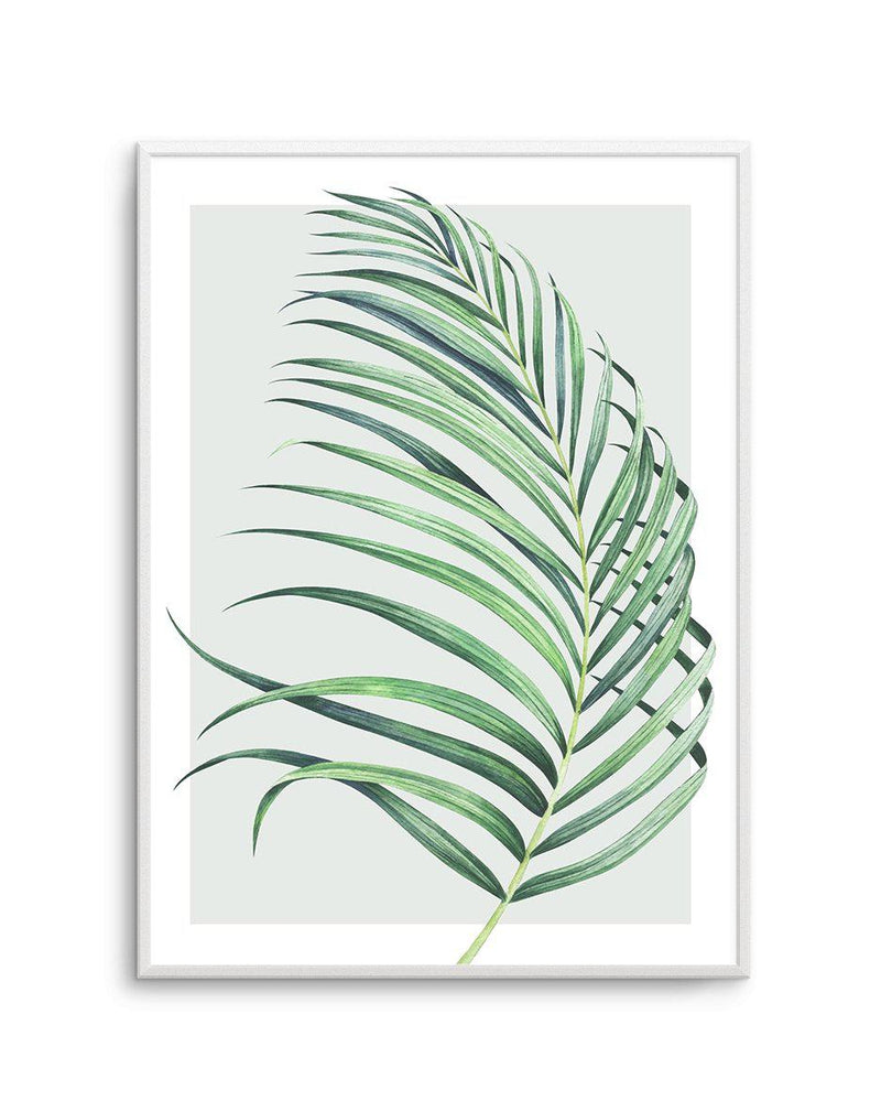 Watercolour Palm On Grey II Art Print-PRINT-Olive et Oriel-Olive et Oriel-A5 | 5.8" x 8.3" | 14.8 x 21cm-Unframed Art Print-With White Border-Buy-Australian-Art-Prints-Online-with-Olive-et-Oriel-Your-Artwork-Specialists-Austrailia-Decorate-With-Coastal-Photo-Wall-Art-Prints-From-Our-Beach-House-Artwork-Collection-Fine-Poster-and-Framed-Artwork