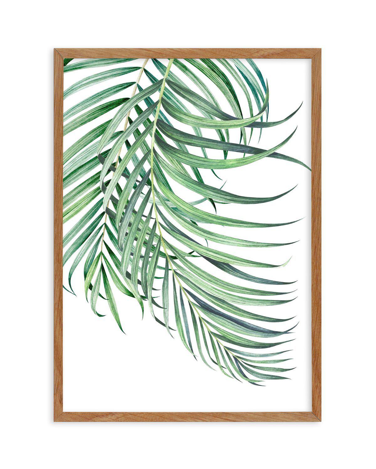 Watercolour Palms I Art Print-PRINT-Olive et Oriel-Olive et Oriel-50x70 cm | 19.6" x 27.5"-Walnut-With White Border-Buy-Australian-Art-Prints-Online-with-Olive-et-Oriel-Your-Artwork-Specialists-Austrailia-Decorate-With-Coastal-Photo-Wall-Art-Prints-From-Our-Beach-House-Artwork-Collection-Fine-Poster-and-Framed-Artwork