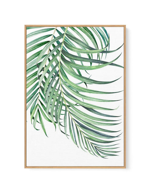 Watercolour Palms I | Framed Canvas-CANVAS-You can shop wall art online with Olive et Oriel for everything from abstract art to fun kids wall art. Our beautiful modern art prints and canvas art are available from large canvas prints to wall art paintings and our proudly Australian artwork collection offers only the highest quality framed large wall art and canvas art Australia - You can buy fashion photography prints or Hampton print posters and paintings on canvas from Olive et Oriel and have t