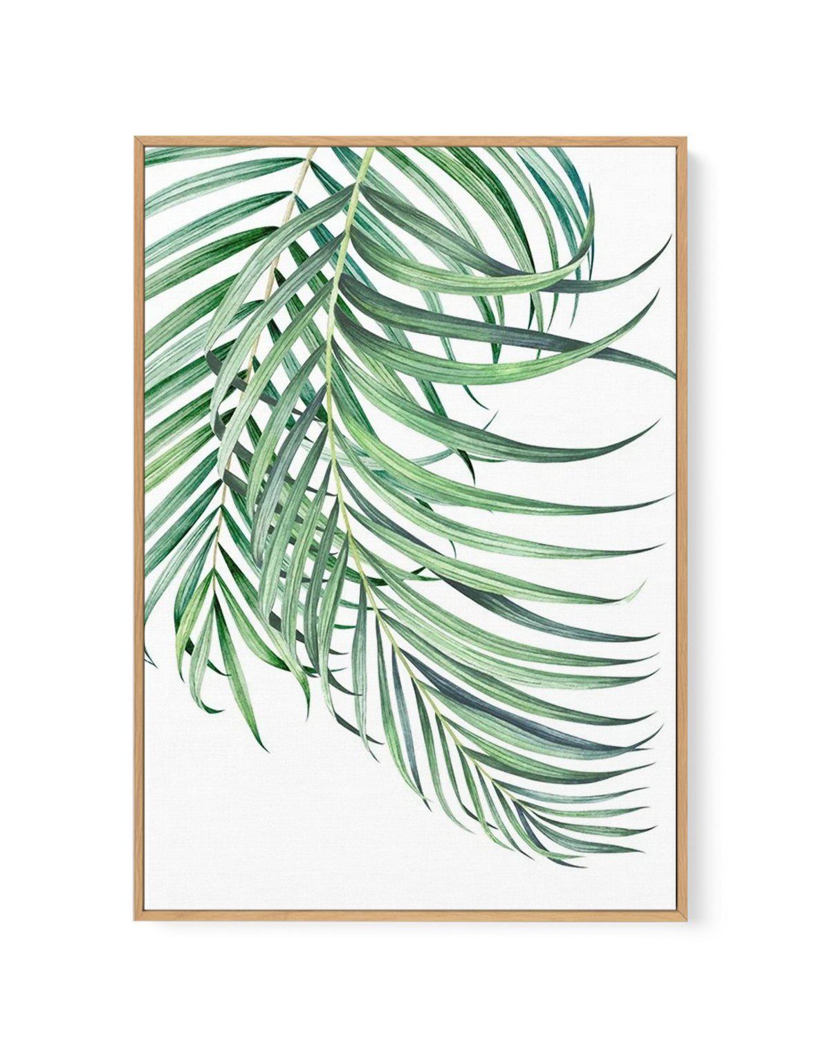 Watercolour Palms I | Framed Canvas-CANVAS-You can shop wall art online with Olive et Oriel for everything from abstract art to fun kids wall art. Our beautiful modern art prints and canvas art are available from large canvas prints to wall art paintings and our proudly Australian artwork collection offers only the highest quality framed large wall art and canvas art Australia - You can buy fashion photography prints or Hampton print posters and paintings on canvas from Olive et Oriel and have t