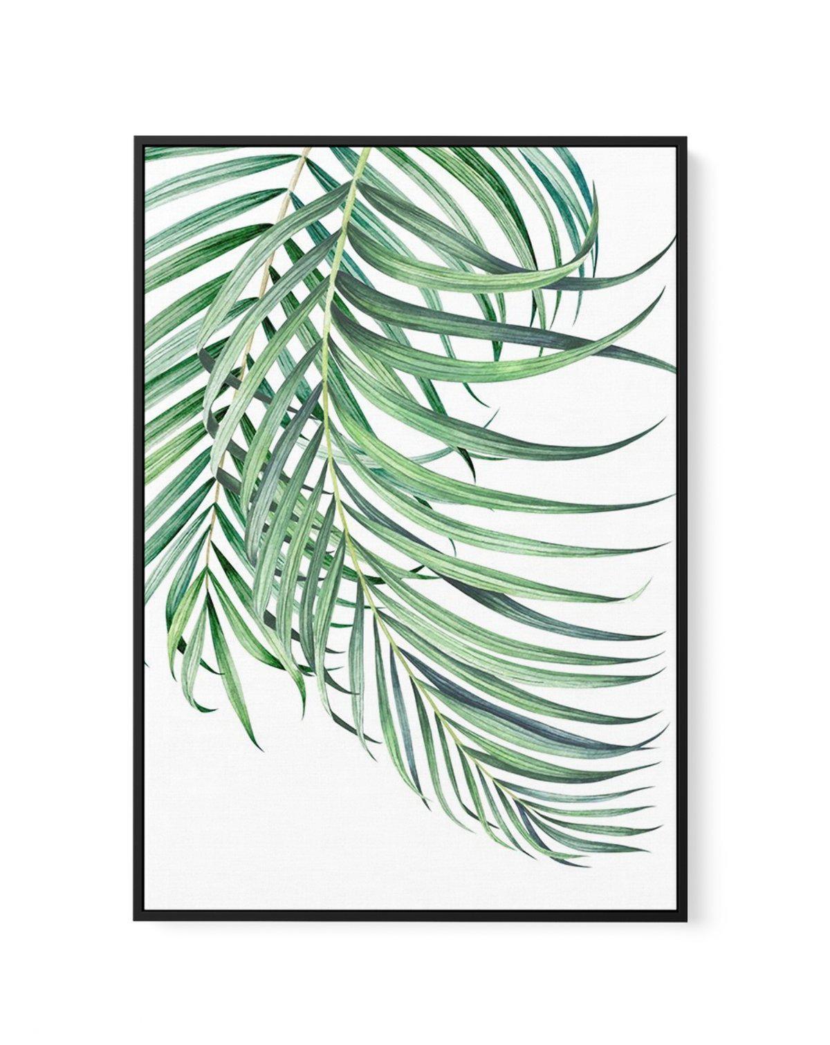 Watercolour Palms I | Framed Canvas-CANVAS-You can shop wall art online with Olive et Oriel for everything from abstract art to fun kids wall art. Our beautiful modern art prints and canvas art are available from large canvas prints to wall art paintings and our proudly Australian artwork collection offers only the highest quality framed large wall art and canvas art Australia - You can buy fashion photography prints or Hampton print posters and paintings on canvas from Olive et Oriel and have t