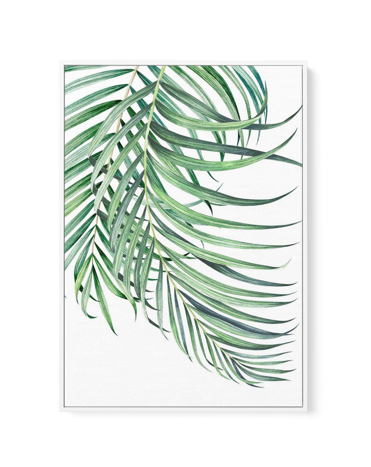 Watercolour Palms I | Framed Canvas-CANVAS-You can shop wall art online with Olive et Oriel for everything from abstract art to fun kids wall art. Our beautiful modern art prints and canvas art are available from large canvas prints to wall art paintings and our proudly Australian artwork collection offers only the highest quality framed large wall art and canvas art Australia - You can buy fashion photography prints or Hampton print posters and paintings on canvas from Olive et Oriel and have t