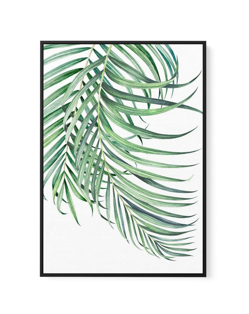 Watercolour Palms I | Framed Canvas-CANVAS-You can shop wall art online with Olive et Oriel for everything from abstract art to fun kids wall art. Our beautiful modern art prints and canvas art are available from large canvas prints to wall art paintings and our proudly Australian artwork collection offers only the highest quality framed large wall art and canvas art Australia - You can buy fashion photography prints or Hampton print posters and paintings on canvas from Olive et Oriel and have t