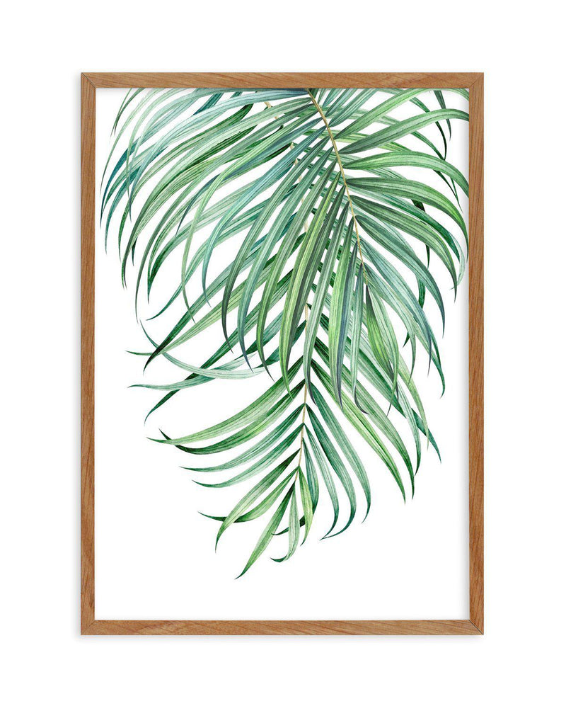 Watercolour Palms II Art Print-PRINT-Olive et Oriel-Olive et Oriel-50x70 cm | 19.6" x 27.5"-Walnut-With White Border-Buy-Australian-Art-Prints-Online-with-Olive-et-Oriel-Your-Artwork-Specialists-Austrailia-Decorate-With-Coastal-Photo-Wall-Art-Prints-From-Our-Beach-House-Artwork-Collection-Fine-Poster-and-Framed-Artwork