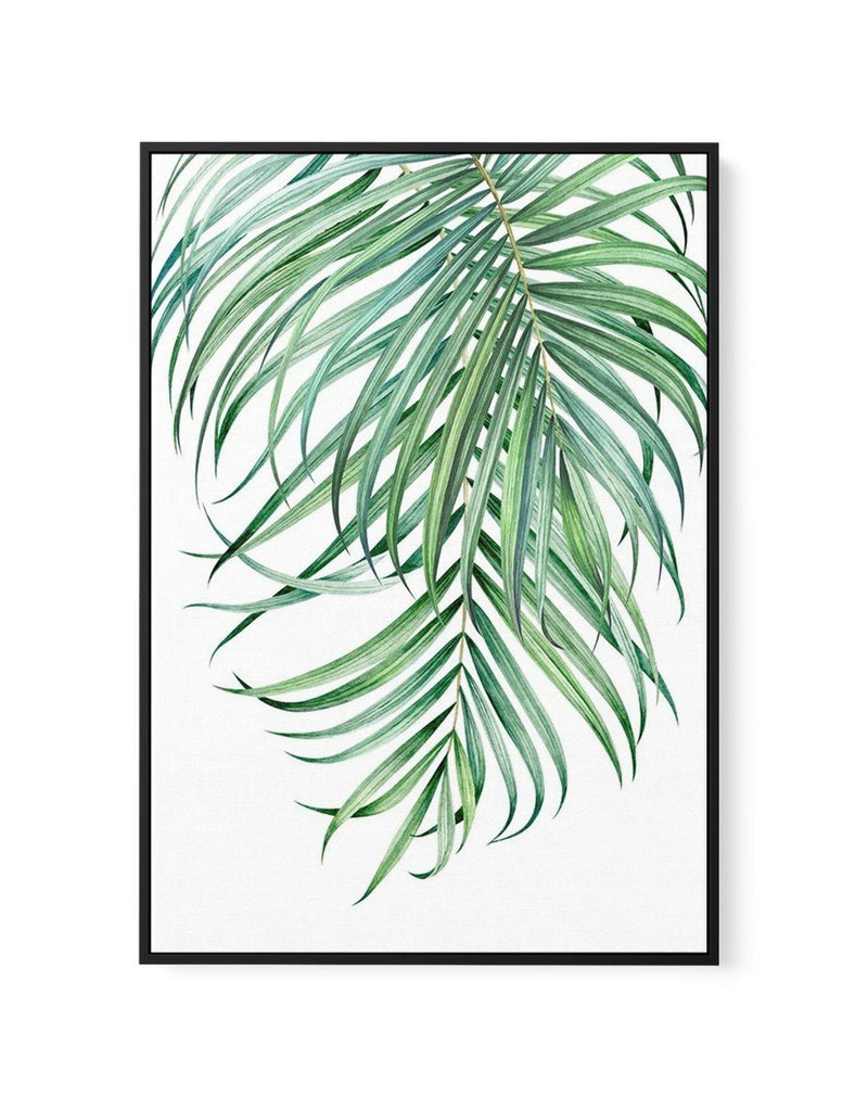 Watercolour Palms II | Framed Canvas-CANVAS-You can shop wall art online with Olive et Oriel for everything from abstract art to fun kids wall art. Our beautiful modern art prints and canvas art are available from large canvas prints to wall art paintings and our proudly Australian artwork collection offers only the highest quality framed large wall art and canvas art Australia - You can buy fashion photography prints or Hampton print posters and paintings on canvas from Olive et Oriel and have 