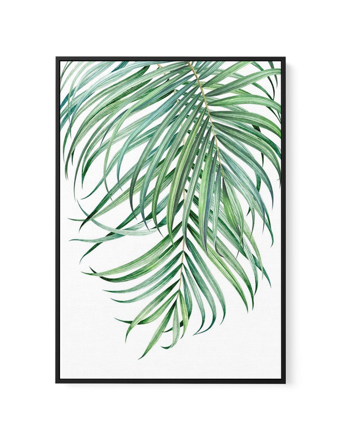 Watercolour Palms II | Framed Canvas-CANVAS-You can shop wall art online with Olive et Oriel for everything from abstract art to fun kids wall art. Our beautiful modern art prints and canvas art are available from large canvas prints to wall art paintings and our proudly Australian artwork collection offers only the highest quality framed large wall art and canvas art Australia - You can buy fashion photography prints or Hampton print posters and paintings on canvas from Olive et Oriel and have 