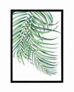 Watercolour Palms I Art Print-PRINT-Olive et Oriel-Olive et Oriel-A5 | 5.8" x 8.3" | 14.8 x 21cm-Black-With White Border-Buy-Australian-Art-Prints-Online-with-Olive-et-Oriel-Your-Artwork-Specialists-Austrailia-Decorate-With-Coastal-Photo-Wall-Art-Prints-From-Our-Beach-House-Artwork-Collection-Fine-Poster-and-Framed-Artwork