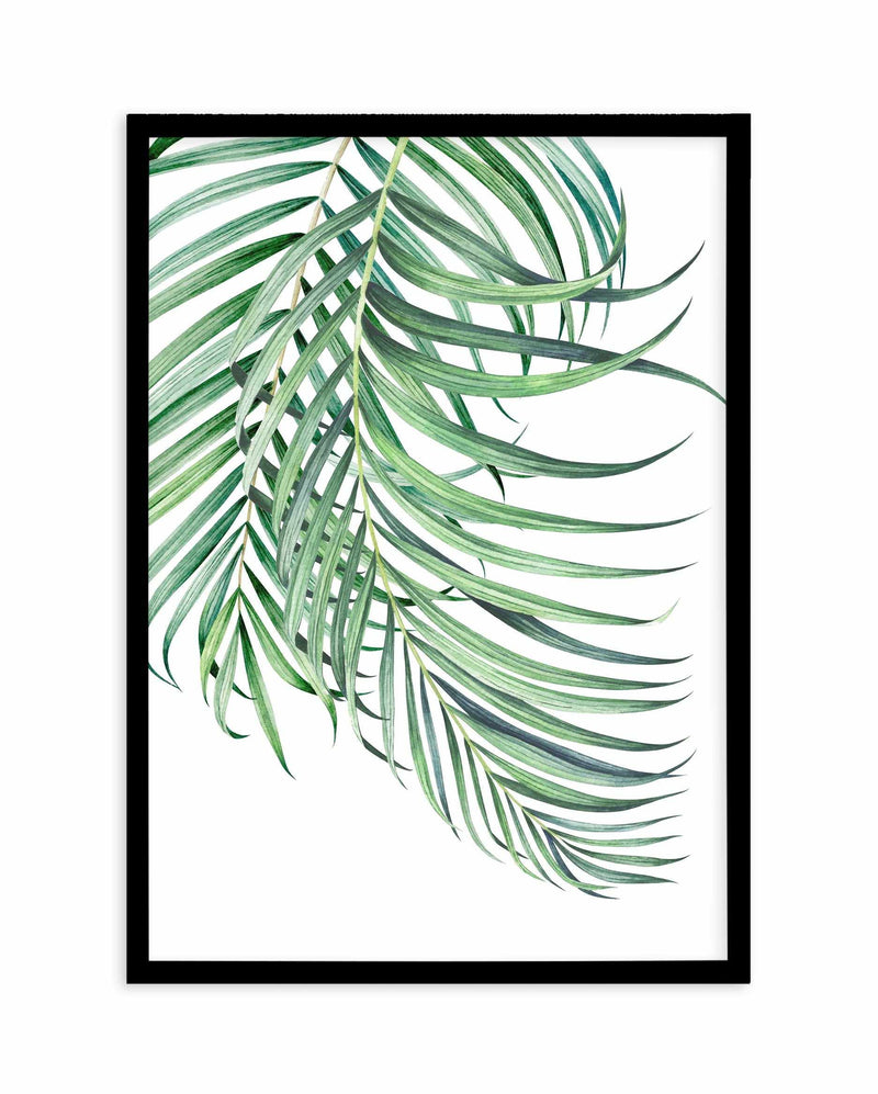 Watercolour Palms I Art Print-PRINT-Olive et Oriel-Olive et Oriel-A5 | 5.8" x 8.3" | 14.8 x 21cm-Black-With White Border-Buy-Australian-Art-Prints-Online-with-Olive-et-Oriel-Your-Artwork-Specialists-Austrailia-Decorate-With-Coastal-Photo-Wall-Art-Prints-From-Our-Beach-House-Artwork-Collection-Fine-Poster-and-Framed-Artwork