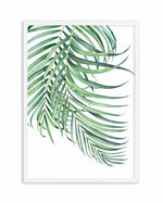 Watercolour Palms I Art Print-PRINT-Olive et Oriel-Olive et Oriel-A5 | 5.8" x 8.3" | 14.8 x 21cm-White-With White Border-Buy-Australian-Art-Prints-Online-with-Olive-et-Oriel-Your-Artwork-Specialists-Austrailia-Decorate-With-Coastal-Photo-Wall-Art-Prints-From-Our-Beach-House-Artwork-Collection-Fine-Poster-and-Framed-Artwork