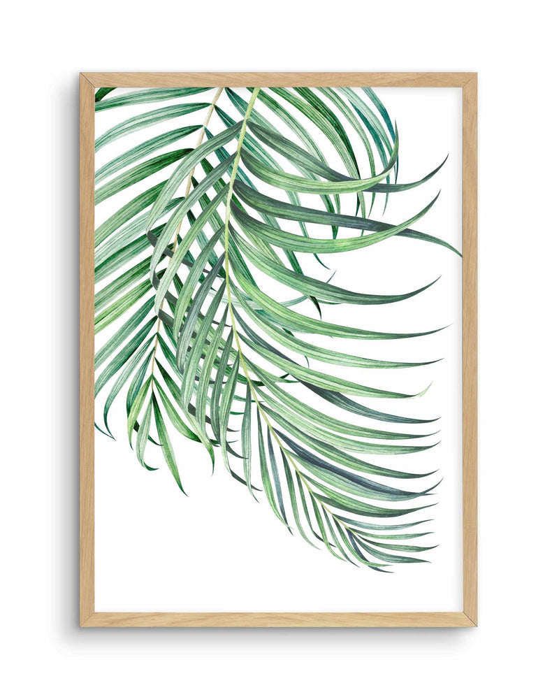 Watercolour Palms I Art Print-PRINT-Olive et Oriel-Olive et Oriel-A5 | 5.8" x 8.3" | 14.8 x 21cm-Oak-With White Border-Buy-Australian-Art-Prints-Online-with-Olive-et-Oriel-Your-Artwork-Specialists-Austrailia-Decorate-With-Coastal-Photo-Wall-Art-Prints-From-Our-Beach-House-Artwork-Collection-Fine-Poster-and-Framed-Artwork