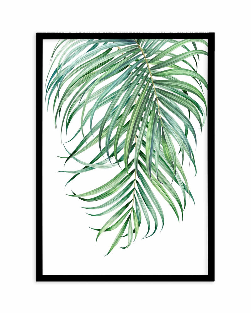 Watercolour Palms II Art Print-PRINT-Olive et Oriel-Olive et Oriel-A5 | 5.8" x 8.3" | 14.8 x 21cm-Black-With White Border-Buy-Australian-Art-Prints-Online-with-Olive-et-Oriel-Your-Artwork-Specialists-Austrailia-Decorate-With-Coastal-Photo-Wall-Art-Prints-From-Our-Beach-House-Artwork-Collection-Fine-Poster-and-Framed-Artwork