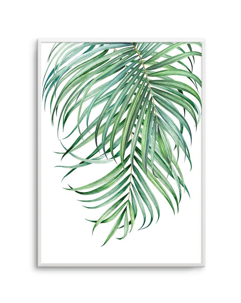 Watercolour Palms II Art Print-PRINT-Olive et Oriel-Olive et Oriel-A5 | 5.8" x 8.3" | 14.8 x 21cm-Unframed Art Print-With White Border-Buy-Australian-Art-Prints-Online-with-Olive-et-Oriel-Your-Artwork-Specialists-Austrailia-Decorate-With-Coastal-Photo-Wall-Art-Prints-From-Our-Beach-House-Artwork-Collection-Fine-Poster-and-Framed-Artwork