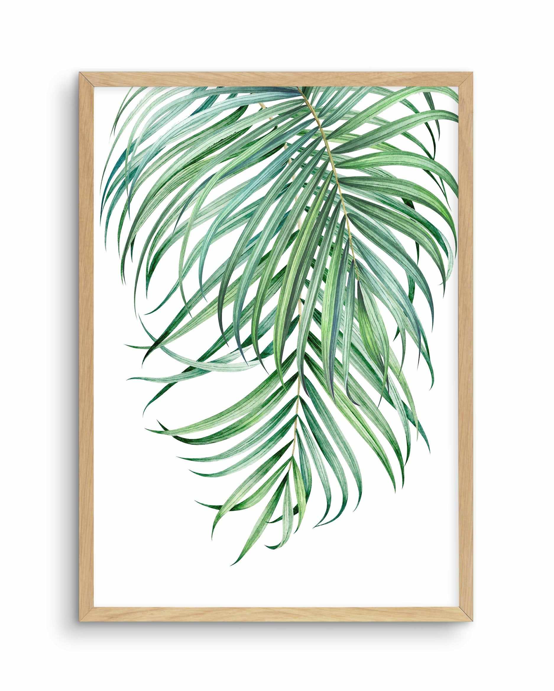 Watercolour Palms II Art Print-PRINT-Olive et Oriel-Olive et Oriel-A5 | 5.8" x 8.3" | 14.8 x 21cm-Oak-With White Border-Buy-Australian-Art-Prints-Online-with-Olive-et-Oriel-Your-Artwork-Specialists-Austrailia-Decorate-With-Coastal-Photo-Wall-Art-Prints-From-Our-Beach-House-Artwork-Collection-Fine-Poster-and-Framed-Artwork