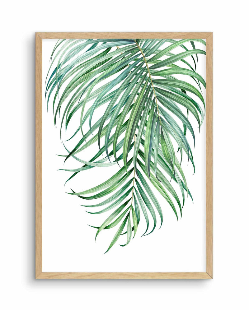 Watercolour Palms II Art Print-PRINT-Olive et Oriel-Olive et Oriel-A5 | 5.8" x 8.3" | 14.8 x 21cm-Oak-With White Border-Buy-Australian-Art-Prints-Online-with-Olive-et-Oriel-Your-Artwork-Specialists-Austrailia-Decorate-With-Coastal-Photo-Wall-Art-Prints-From-Our-Beach-House-Artwork-Collection-Fine-Poster-and-Framed-Artwork