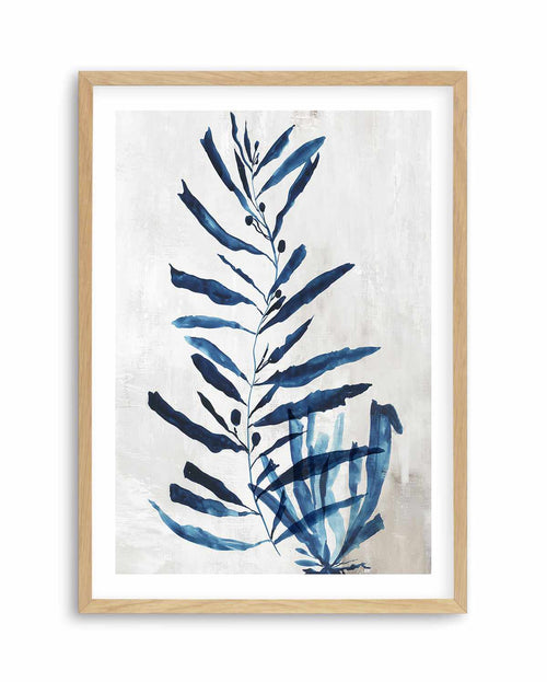 Watercolour Sea Kelp I Art Print-PRINT-Olive et Oriel-PI Creative-A5 | 5.8" x 8.3" | 14.8 x 21cm-Oak-With White Border-Buy-Australian-Art-Prints-Online-with-Olive-et-Oriel-Your-Artwork-Specialists-Austrailia-Decorate-With-Coastal-Photo-Wall-Art-Prints-From-Our-Beach-House-Artwork-Collection-Fine-Poster-and-Framed-Artwork