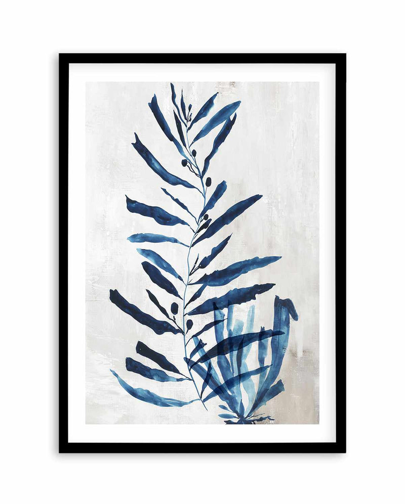 Watercolour Sea Kelp I Art Print-PRINT-Olive et Oriel-PI Creative-A5 | 5.8" x 8.3" | 14.8 x 21cm-Black-With White Border-Buy-Australian-Art-Prints-Online-with-Olive-et-Oriel-Your-Artwork-Specialists-Austrailia-Decorate-With-Coastal-Photo-Wall-Art-Prints-From-Our-Beach-House-Artwork-Collection-Fine-Poster-and-Framed-Artwork
