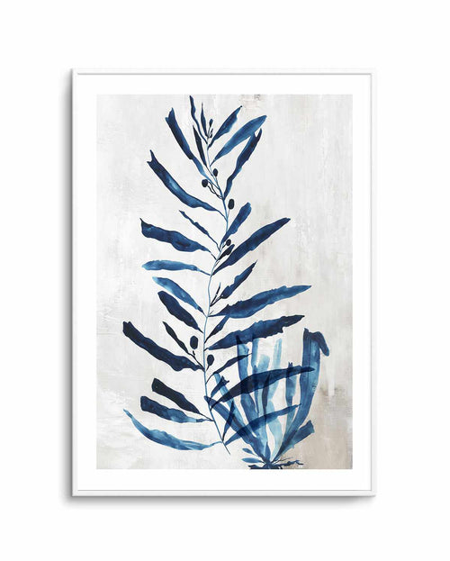 Watercolour Sea Kelp I Art Print-PRINT-Olive et Oriel-PI Creative-Buy-Australian-Art-Prints-Online-with-Olive-et-Oriel-Your-Artwork-Specialists-Austrailia-Decorate-With-Coastal-Photo-Wall-Art-Prints-From-Our-Beach-House-Artwork-Collection-Fine-Poster-and-Framed-Artwork