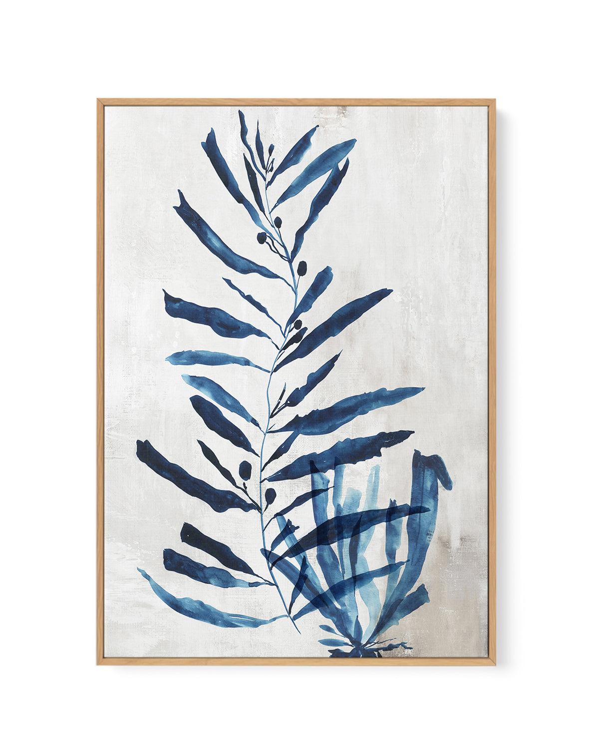 Watercolour Sea Kelp I | Framed Canvas-CANVAS-You can shop wall art online with Olive et Oriel for everything from abstract art to fun kids wall art. Our beautiful modern art prints and canvas art are available from large canvas prints to wall art paintings and our proudly Australian artwork collection offers only the highest quality framed large wall art and canvas art Australia - You can buy fashion photography prints or Hampton print posters and paintings on canvas from Olive et Oriel and hav