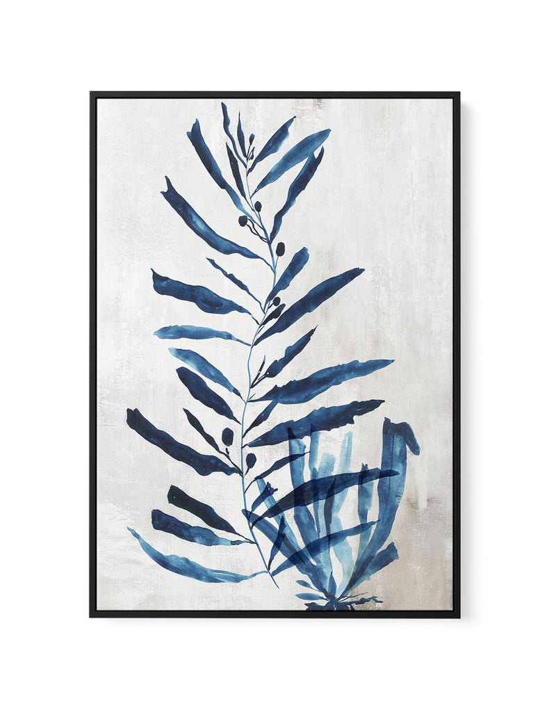 Watercolour Sea Kelp I | Framed Canvas-CANVAS-You can shop wall art online with Olive et Oriel for everything from abstract art to fun kids wall art. Our beautiful modern art prints and canvas art are available from large canvas prints to wall art paintings and our proudly Australian artwork collection offers only the highest quality framed large wall art and canvas art Australia - You can buy fashion photography prints or Hampton print posters and paintings on canvas from Olive et Oriel and hav